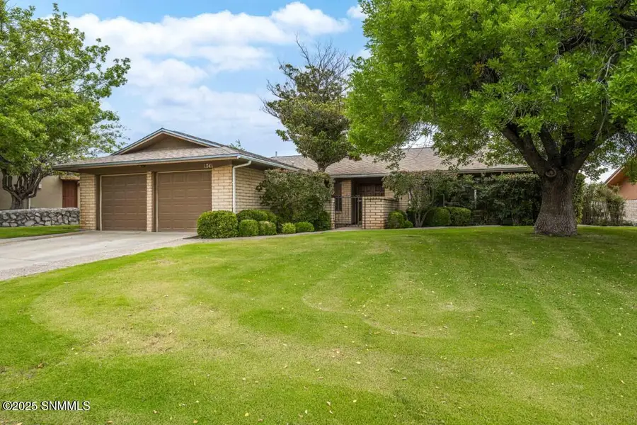 1741 Salinas Drive, Las Cruces, NM 88011 - Image #3