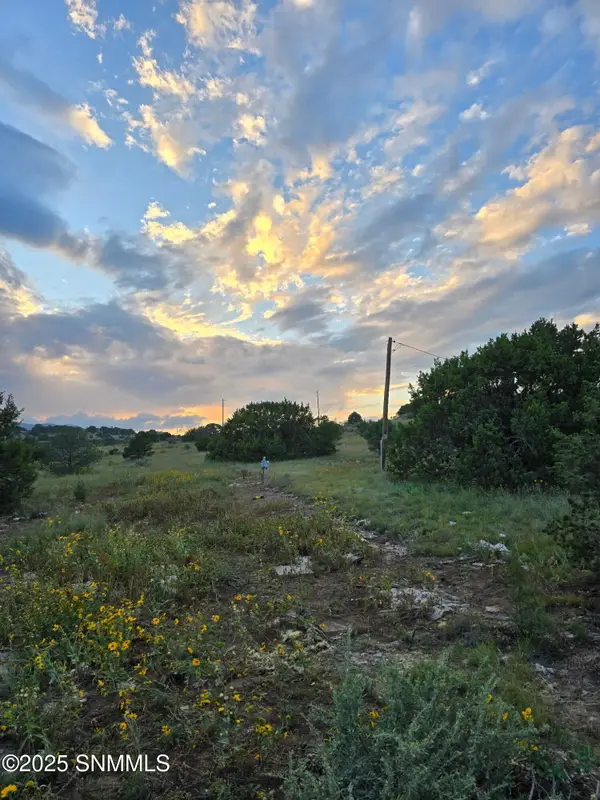 105 Antelope Trail, Nogal, NM 88341