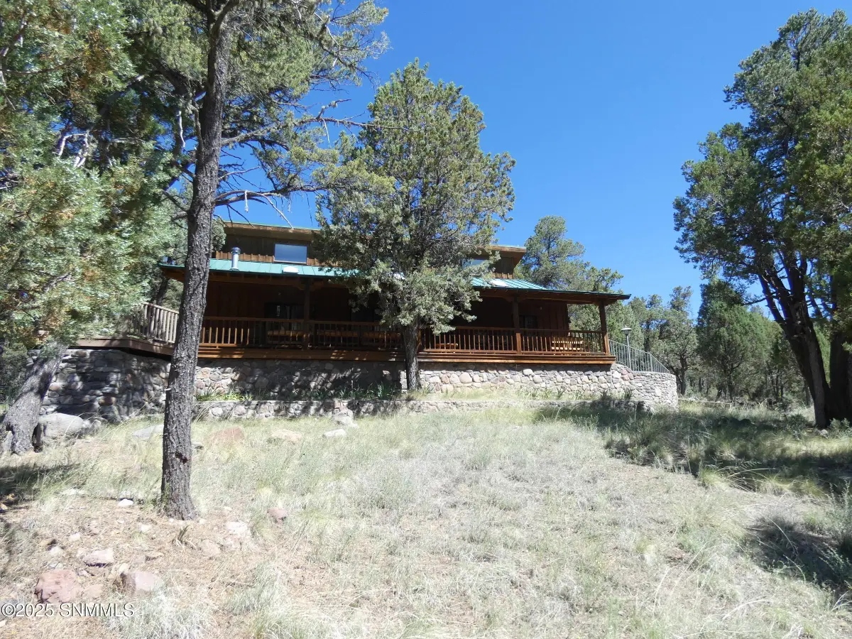 287 Cooney Road, Mimbres, NM 88049 - Image #1