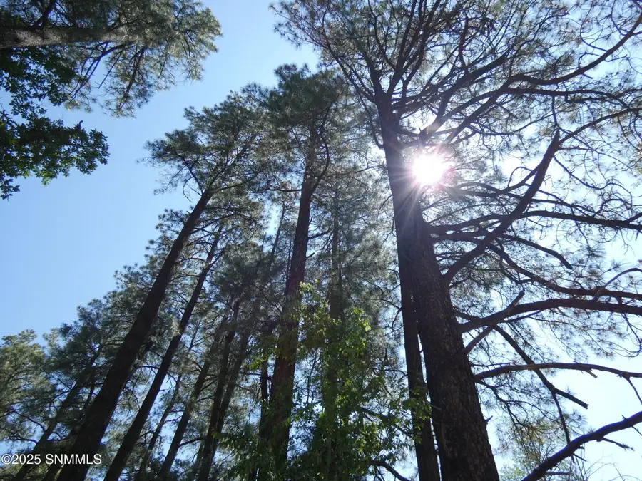 287 Cooney Road, Mimbres, NM 88049 - Image #2