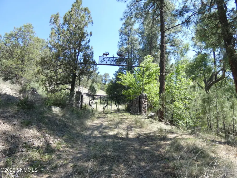 287 Cooney Road, Mimbres, NM 88049 - Image #3