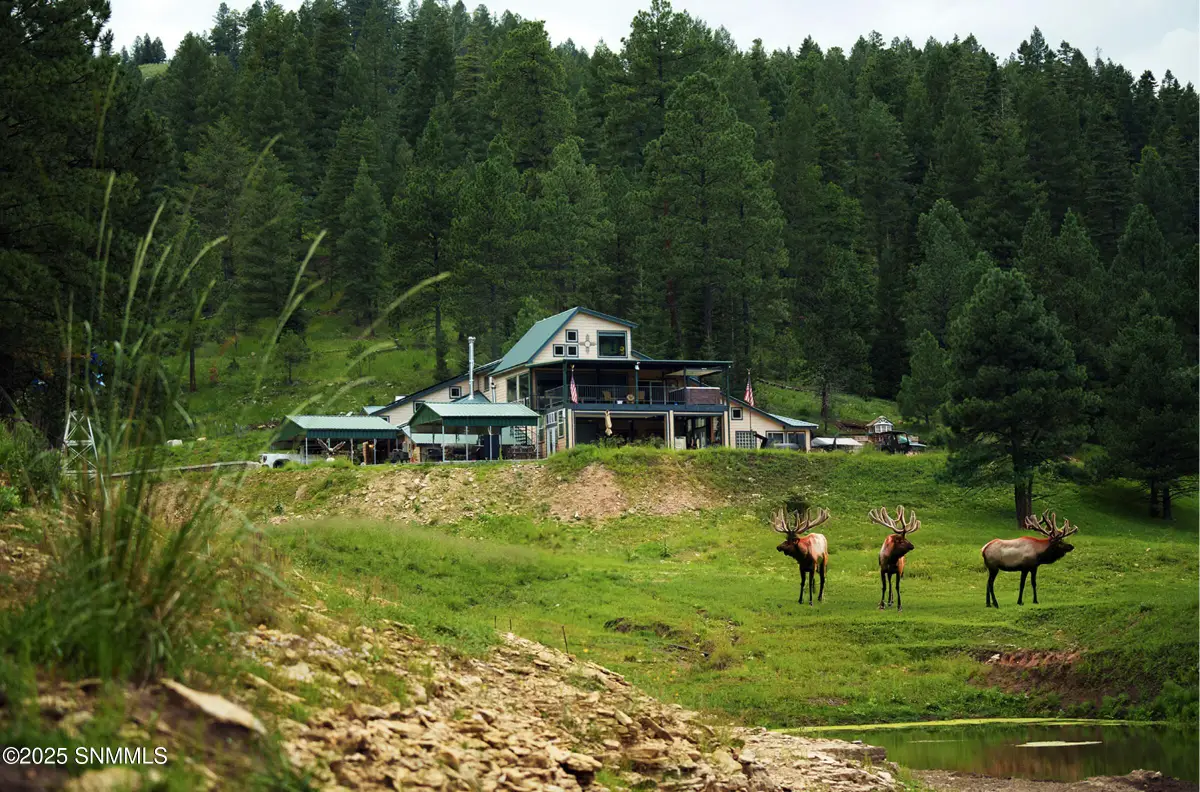 86 Telephone Canyon Road, Weed, NM 88354 - Image #1