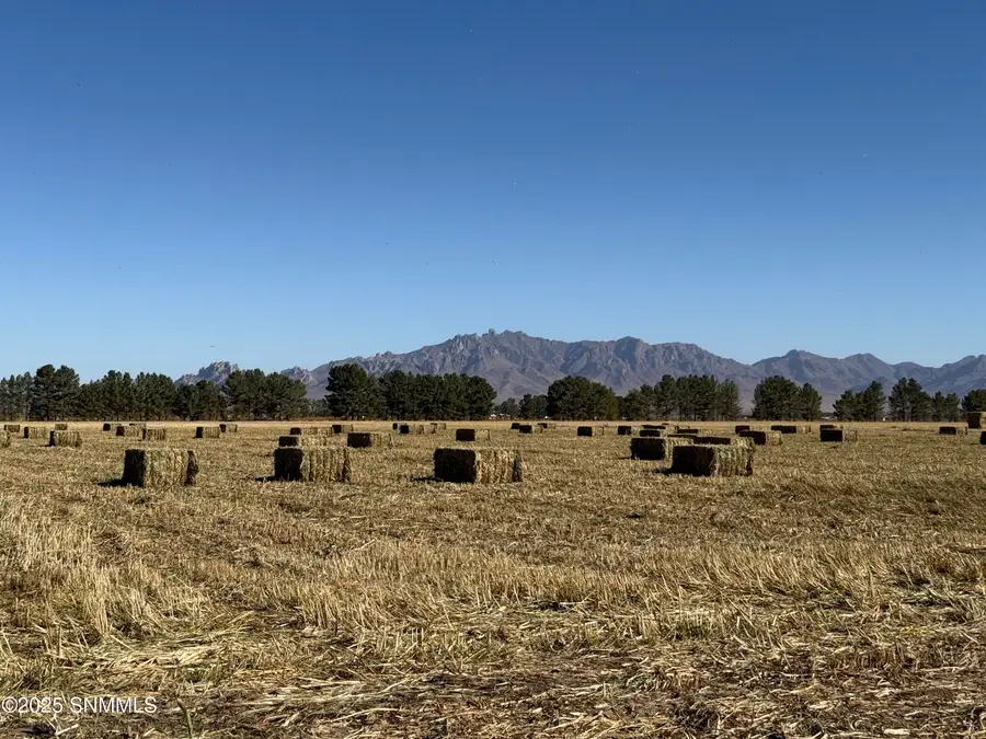 6070 SW 8th Street, Deming, NM 88030 - Image #3