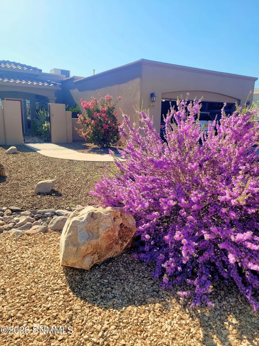 4520 Mesa Central Drive, Las Cruces, NM 88011 - Image #3