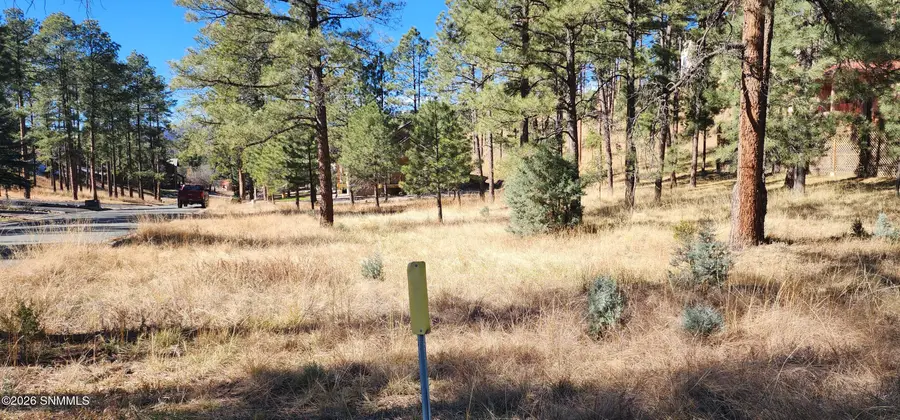 604 White Mountain Meadows Drive, Ruidoso, NM 88345 - Image #3