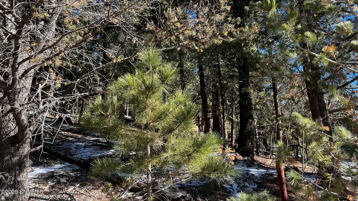 123 Canyon Trail, Cloudcroft, NM 88317 - #1