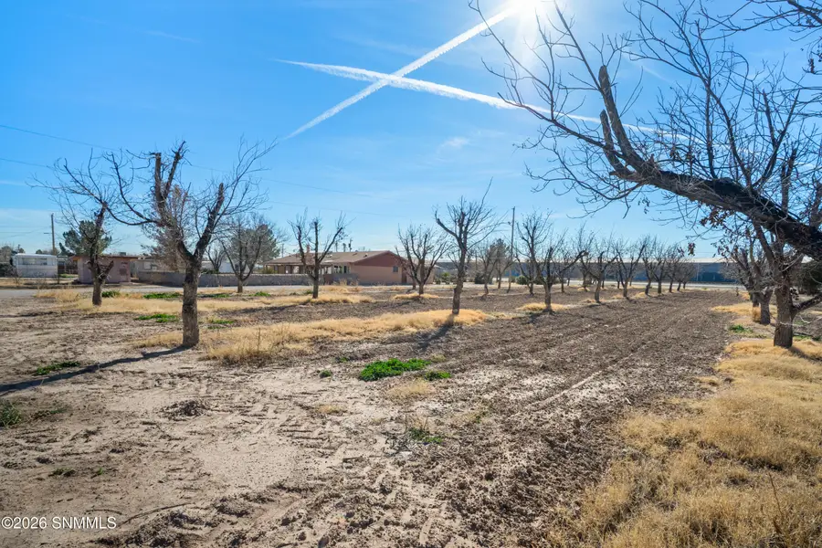 Address Withheld By Seller, Mesquite, NM 88048 - #3