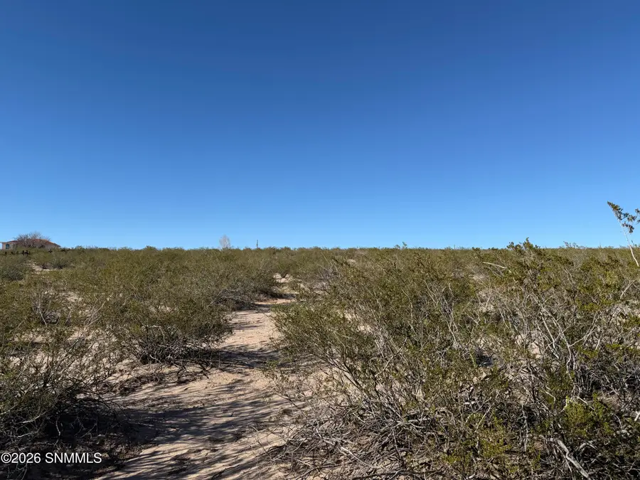 Lot 32A Webb Road, Las Cruces, NM 88001 - #2