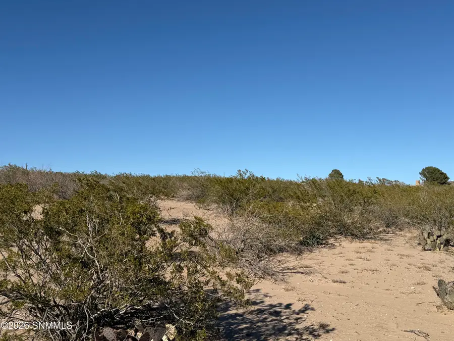 Lot 31A Webb Road, Las Cruces, NM 88012 - #3