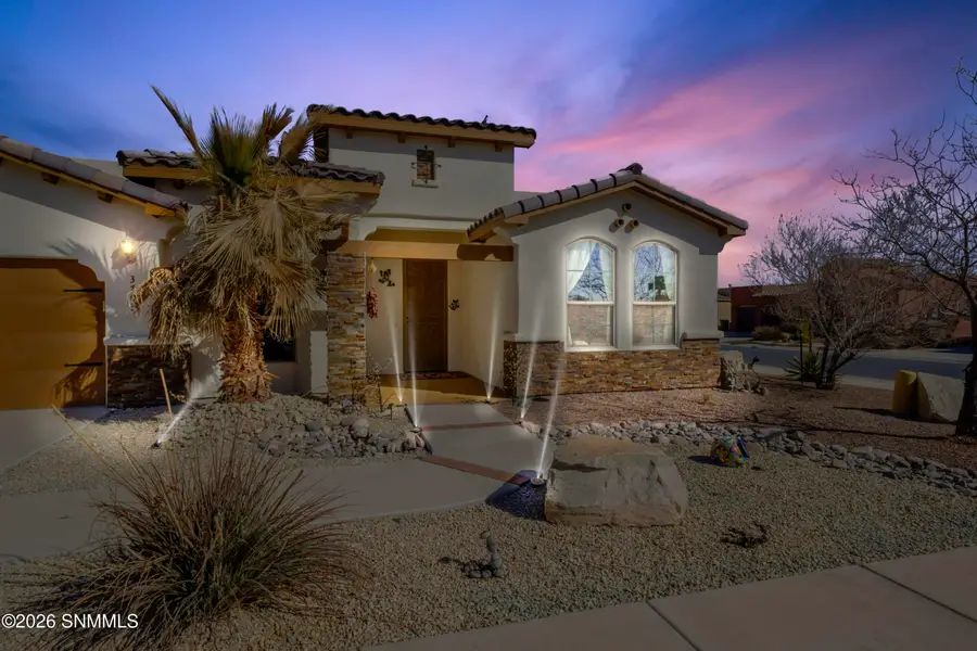 3703 Santa Cecilia Avenue, Las Cruces, NM 88012 - #2