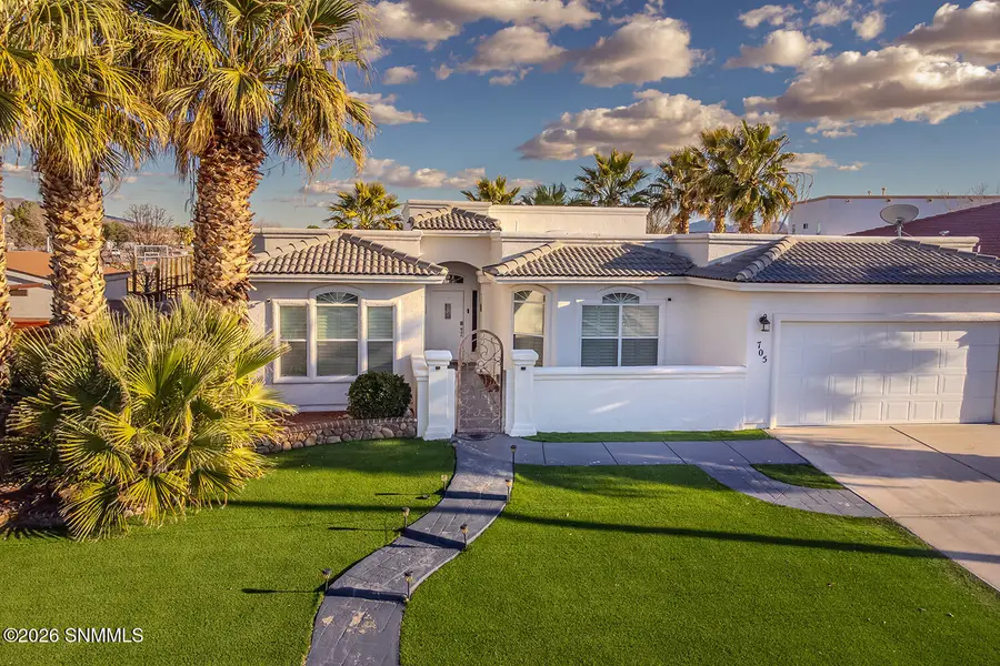 705 Lauren Street, Santa Teresa, NM 88008 - #2