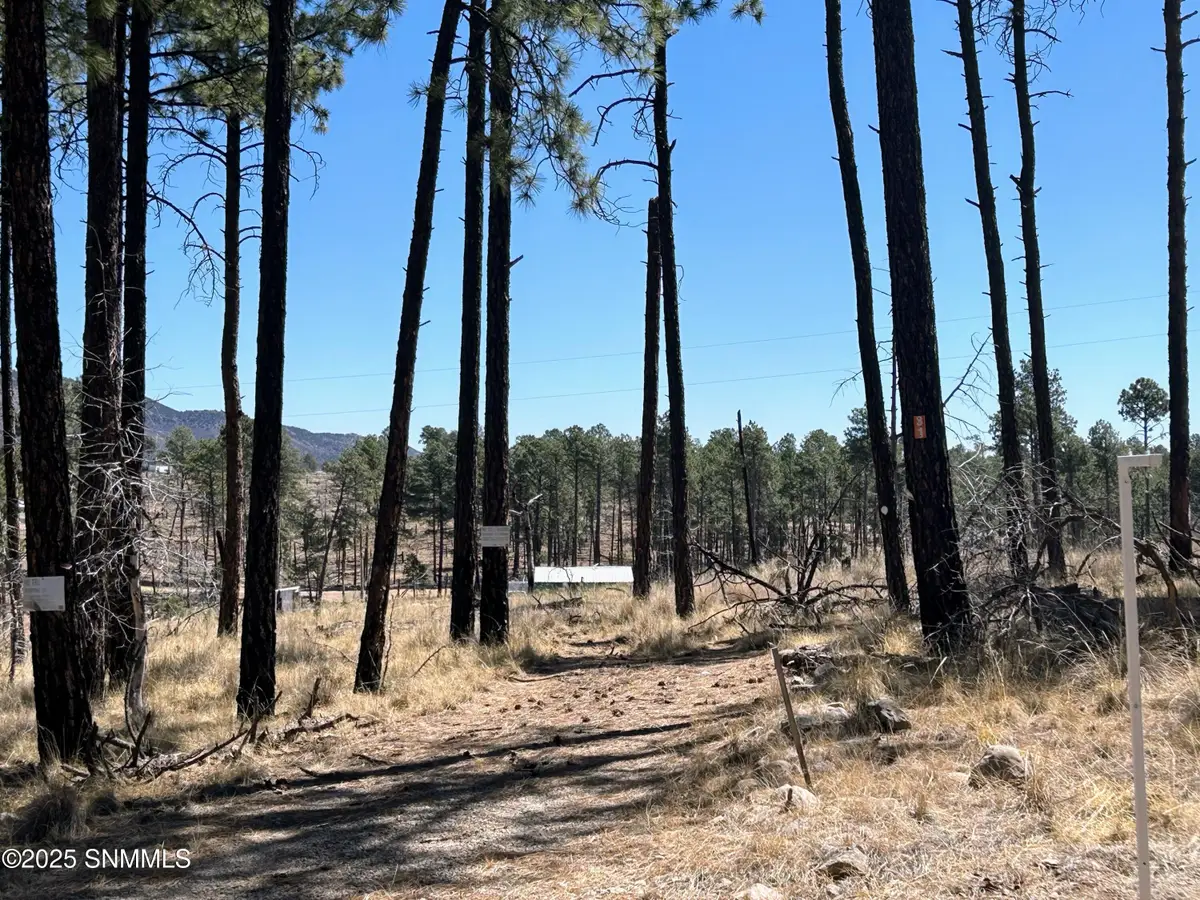 31 Bahamas Drive, Cloudcroft, NM 88317 - #1