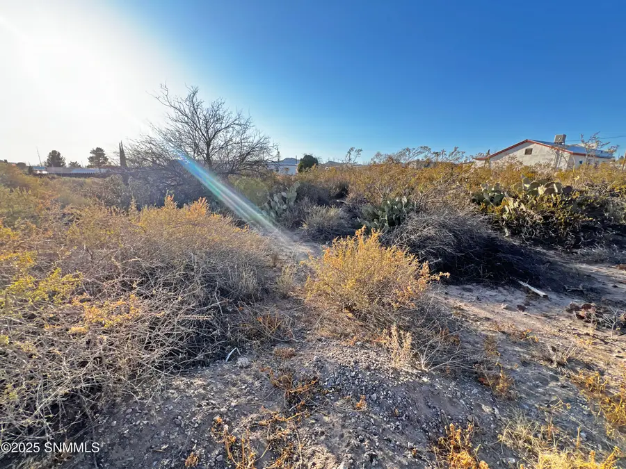 507 N Maple Street, Truth Or Consequences, NM 87901 - #2