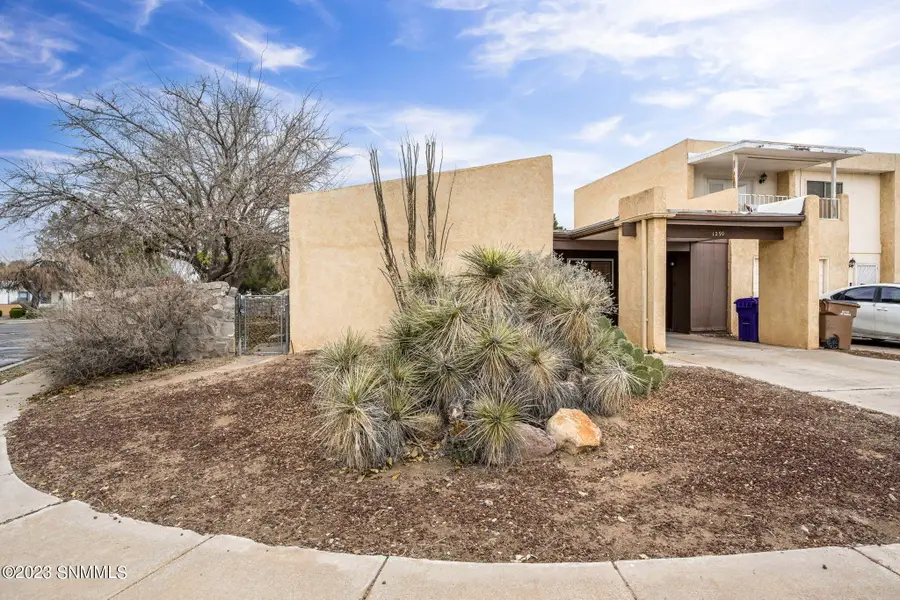 1290 N Willow Street, Las Cruces, NM 88001 - #2