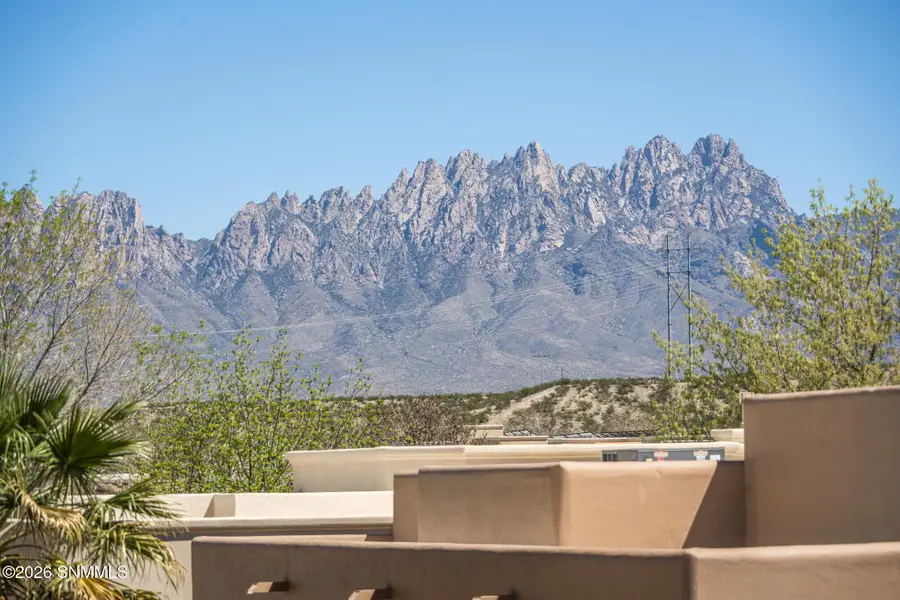 1880 El Presidio Drive, Las Cruces, NM 88011 - #2