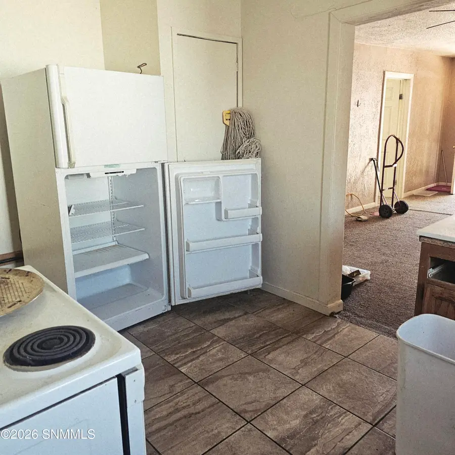 1209 W Hall Avenue, Las Cruces, NM 88005 - #3