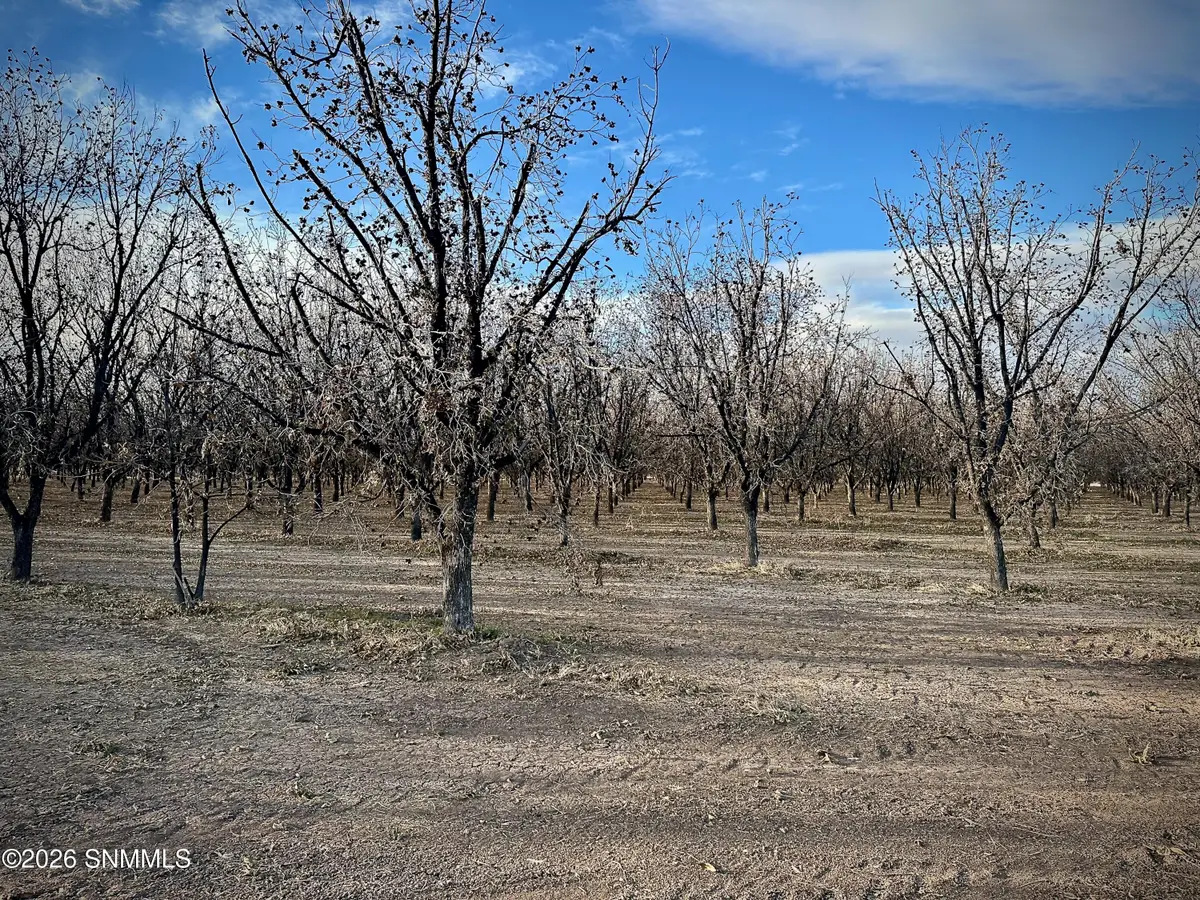 TBA Gillett Road, Anthony, NM 88021 - #1