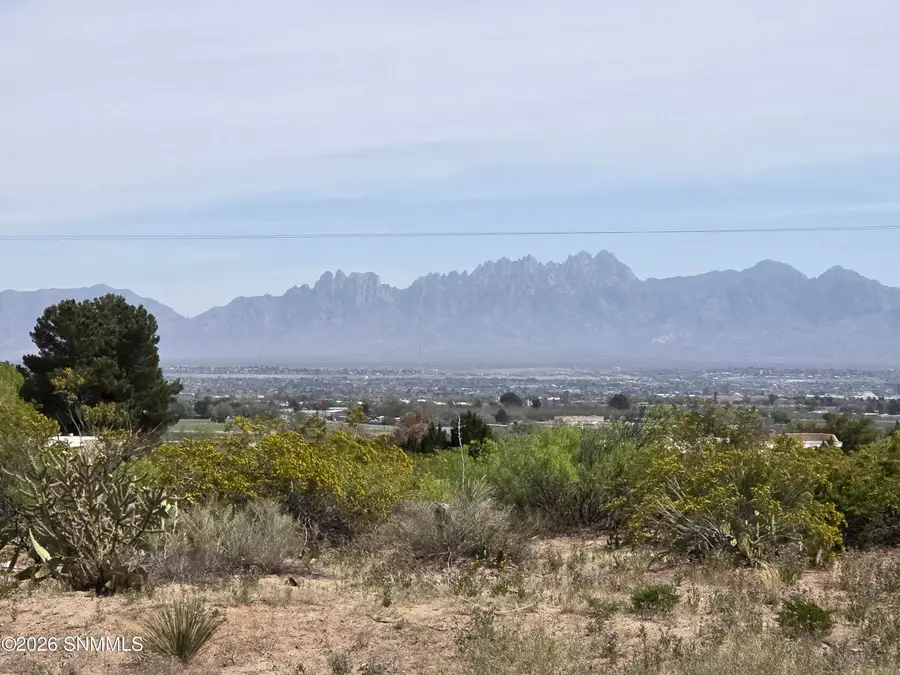 0001 Quesenberry Lane, Las Cruces, NM 88007 - #2