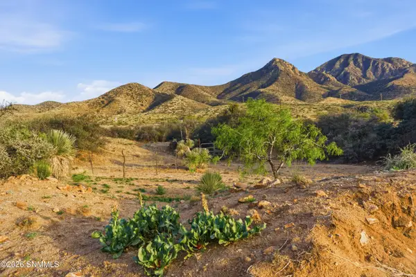 6100 Cr-087, Las Cruces, NM 88011