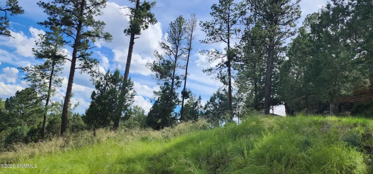 213 3rd Street, Ruidoso, NM 88345 - #1