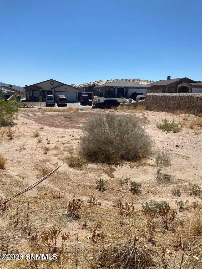 304 Colorado Drive, Sunland Park, NM 88063 - #3