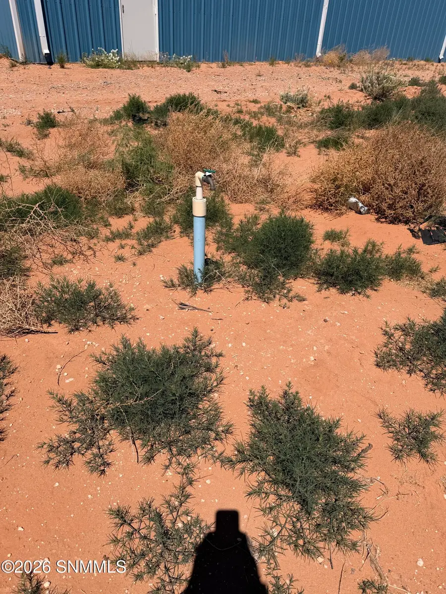 816 Angelina Boulevard, Chaparral, NM 88081 - #2