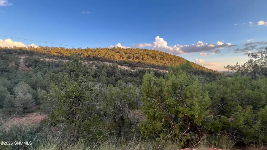 155 Rocky Trail Road, Timberon, NM 88350 - #3