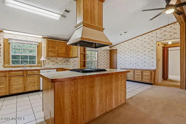 5219 Chiricahua Trail, Las Cruces, NM 88012 - #3