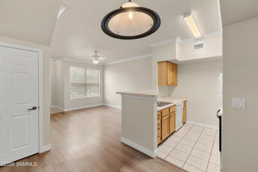 3901 Sonoma Springs Avenue #1105, Las Cruces, NM 88011 - #3