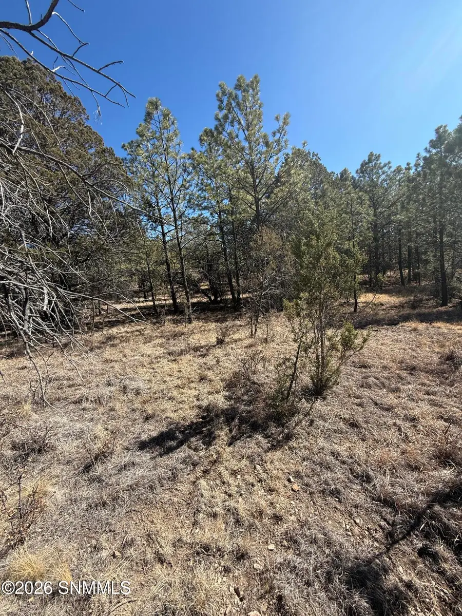 TBD Eldrado Drive, Timberon, NM 88350 - #3