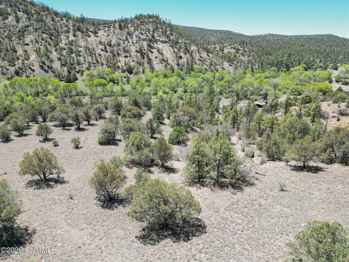 TBD Lot 5 Highway 35, Mimbres, NM 88049 - #1
