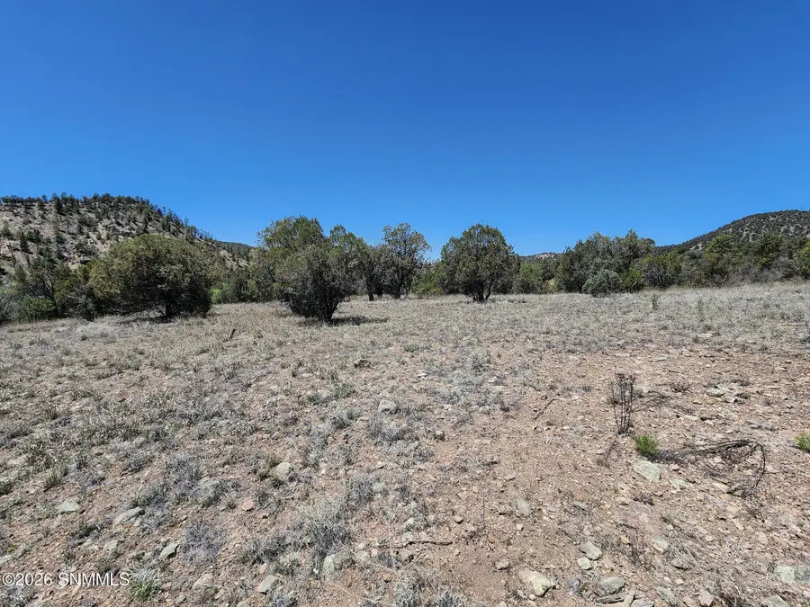 TBD Lot 5 Highway 35, Mimbres, NM 88049 - #3