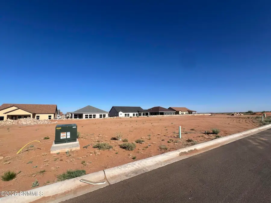 6529 Tucan Place, Las Cruces, NM 88012 - #3