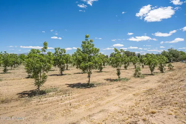 LOT 3 TBD Old River Road, Las Cruces, NM 88005