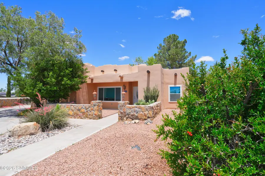 2003 Nena Court, Las Cruces, NM 88007 - #2