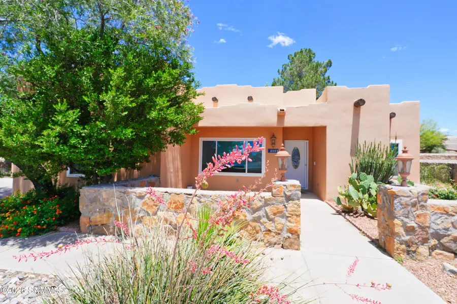 2003 Nena Court, Las Cruces, NM 88007 - #3