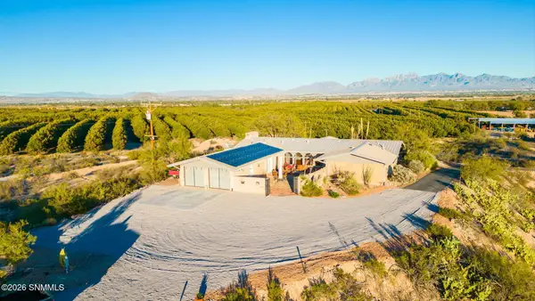 3815 Pantera Circle, Las Cruces, NM 88007