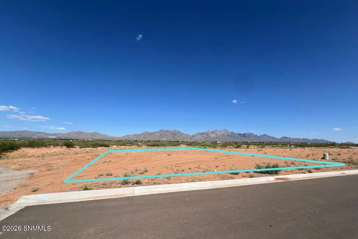 6542 Tucan Place, Las Cruces, NM 88012 - #1