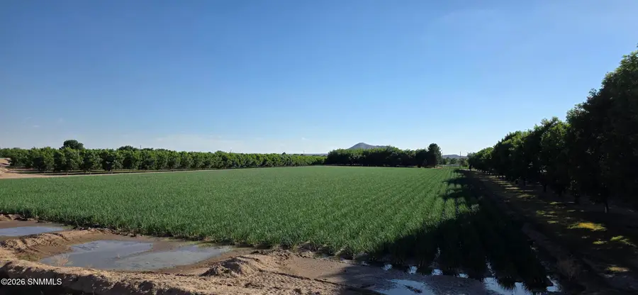 100 Fontana Way, Las Cruces, NM 88007 - #2