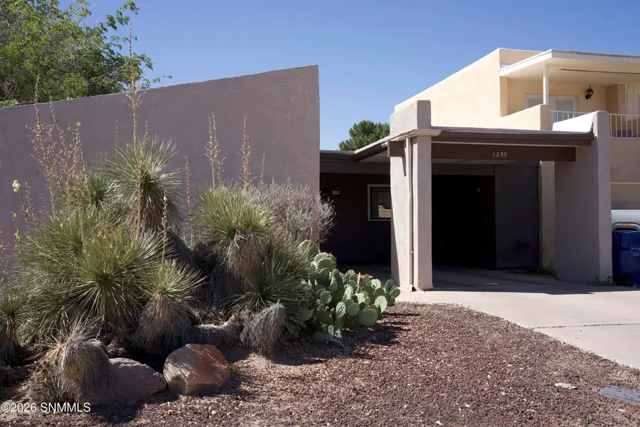 1290 N Willow Street, Las Cruces, NM 88001 - #2