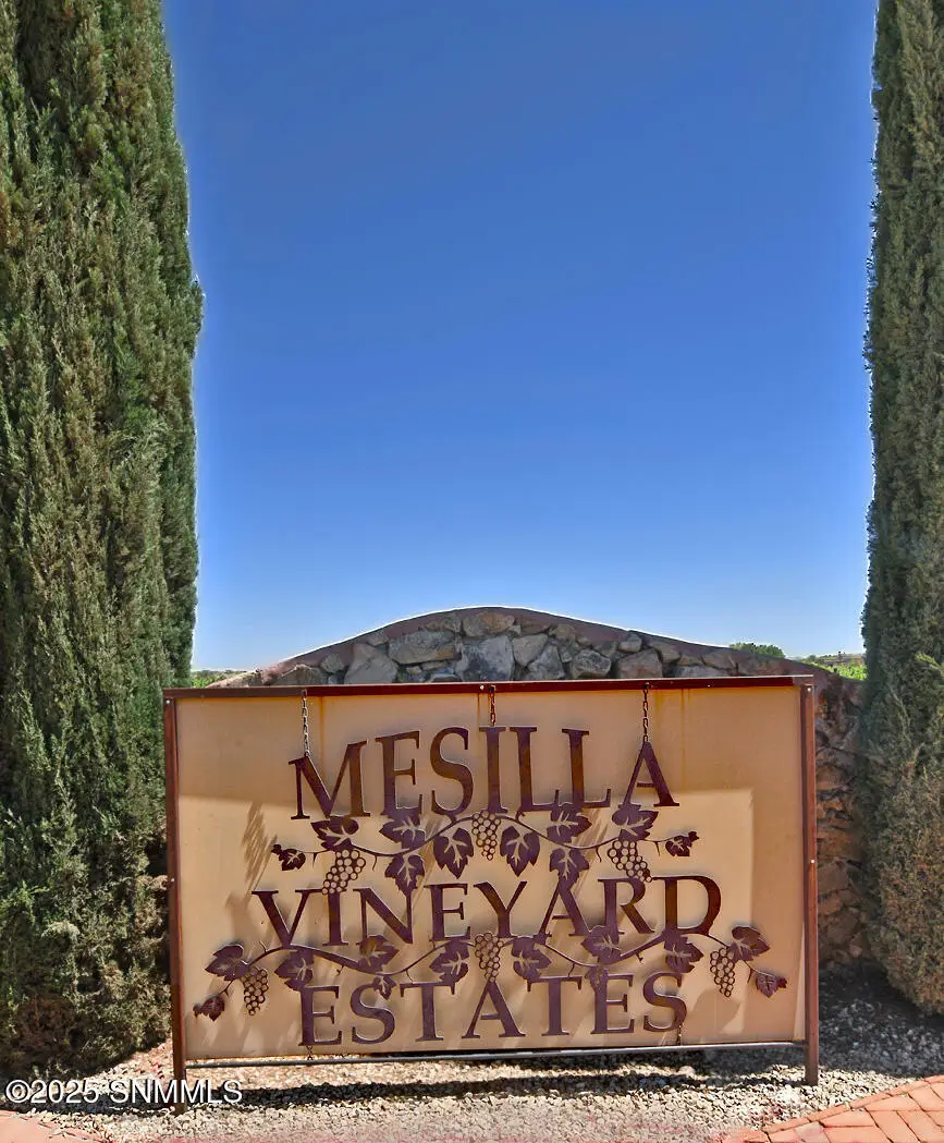 4425 Dulcinea Drive, Las Cruces, NM 88005 - #2