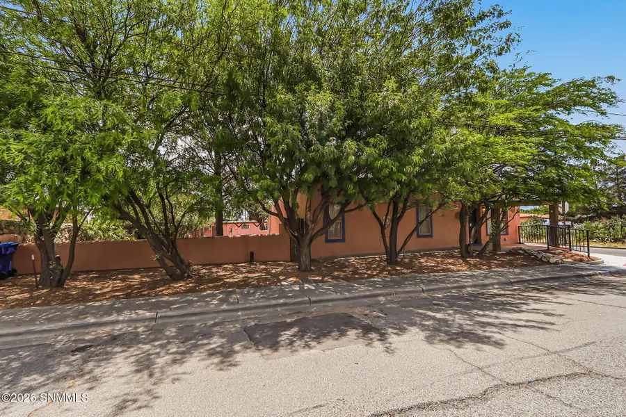 639 S San Pedro Street, Las Cruces, NM 88001 - #2