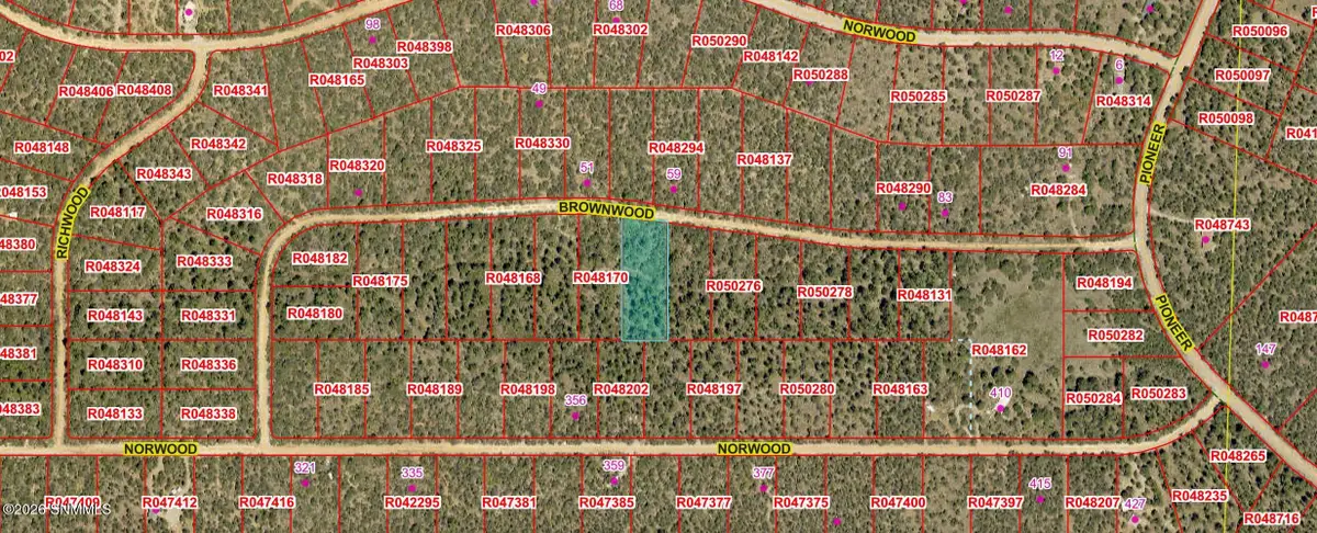 TBD Bronwood Dr, Timberon, NM 88350 - #1