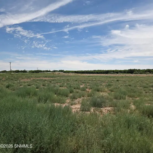 6525 Valle Del Rio Drive #2D, La Mesa, NM 88044