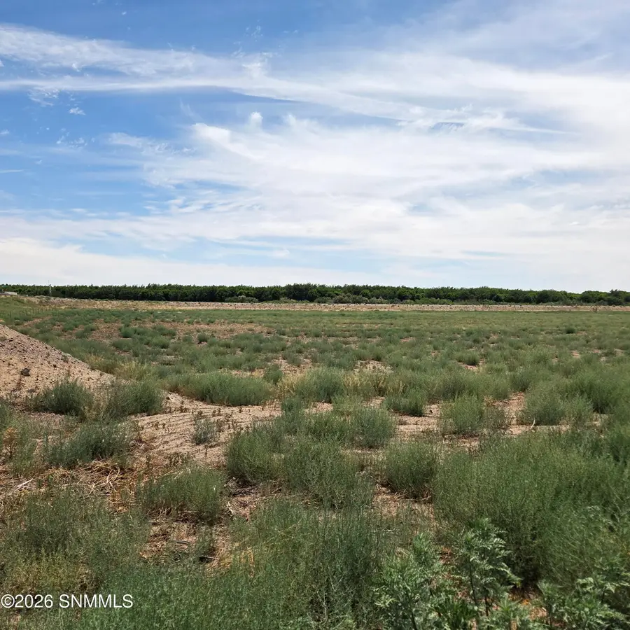 6525 Valle Del Rio Drive #2D, La Mesa, NM 88044 - #2