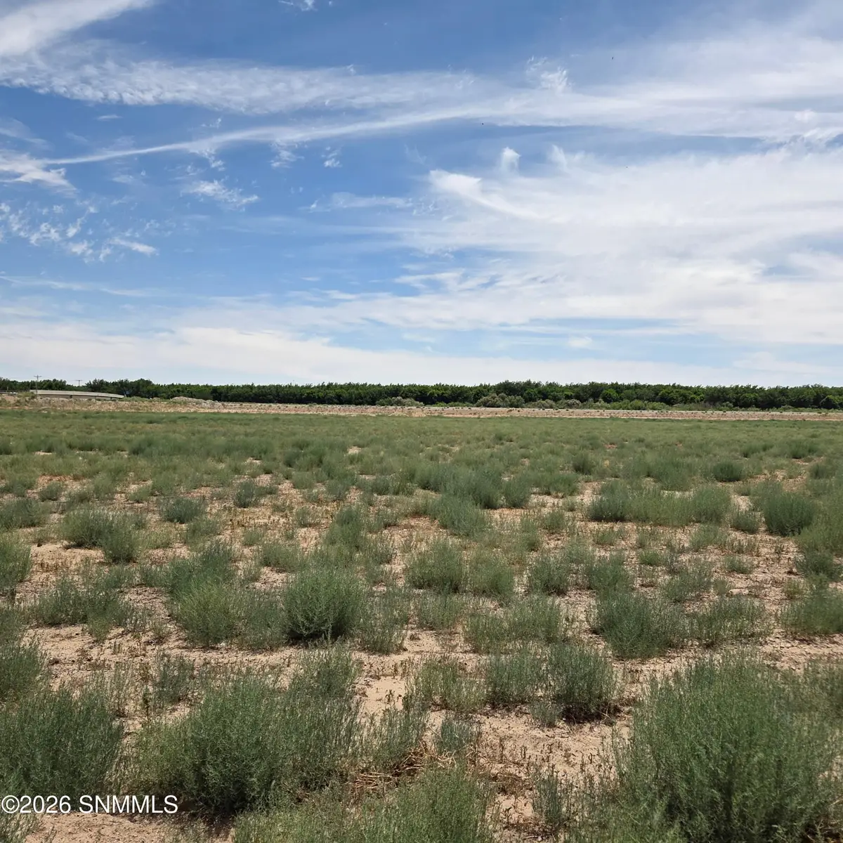 6525 Valle Del Rio Drive #2C, La Mesa, NM 88044 - #1