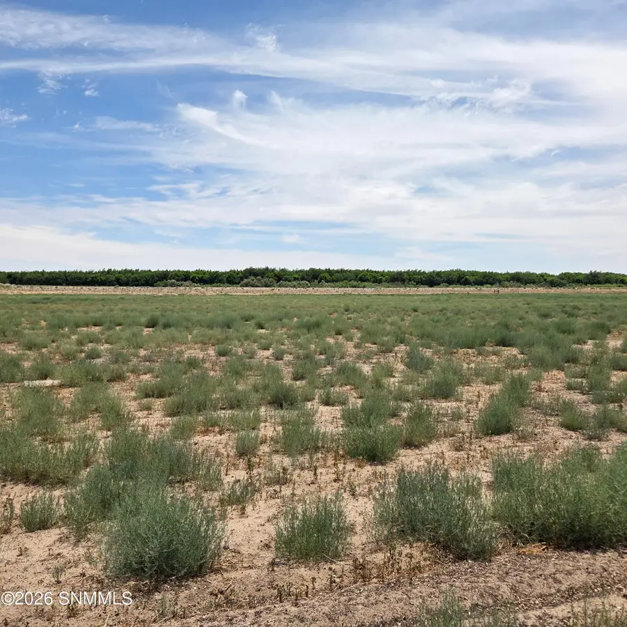 6525 Valle Del Rio Drive #2C, La Mesa, NM 88044 - #2