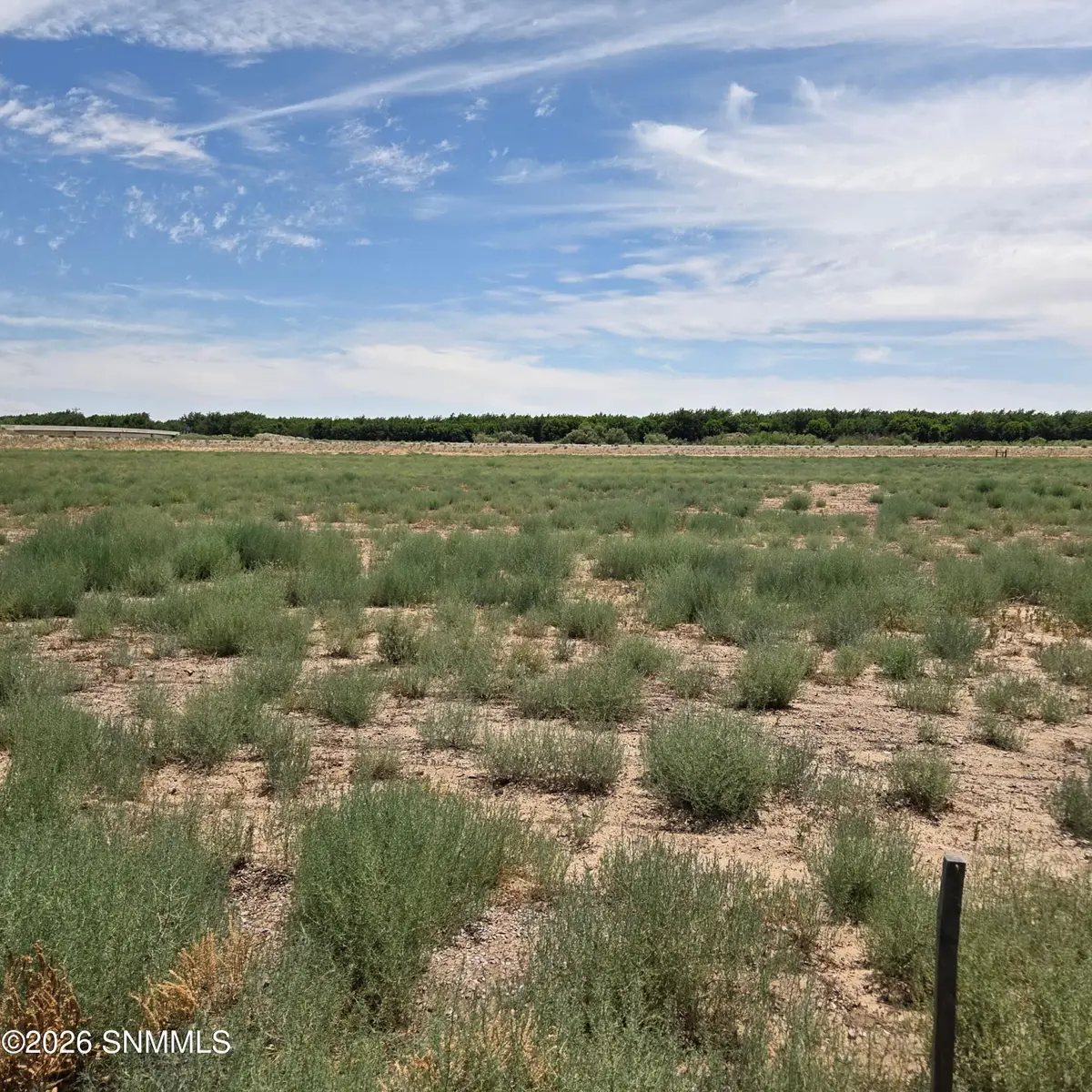 6525 Valle Del Rio Drive #2B, La Mesa, NM 88044 - #1