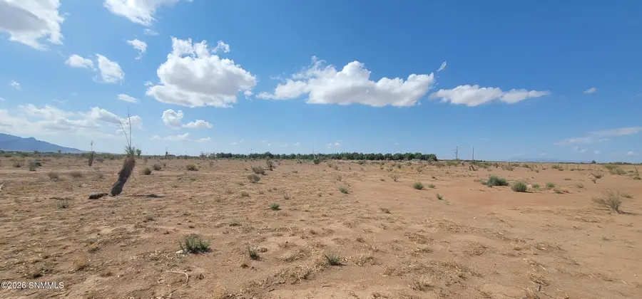 0000 SW Purple Sage Road, Deming, NM 88030 - #2