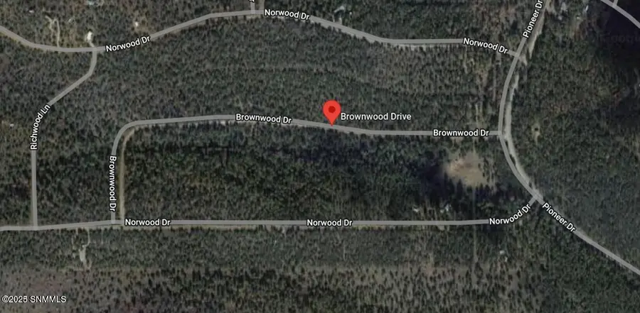 60 Brownwood Road, Timberon, NM 88350 - #3